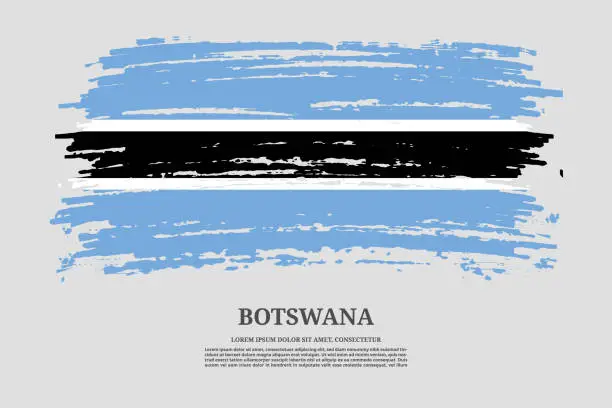 Vector illustration of Botswana flag with brush stroke effect and information text poster, vector