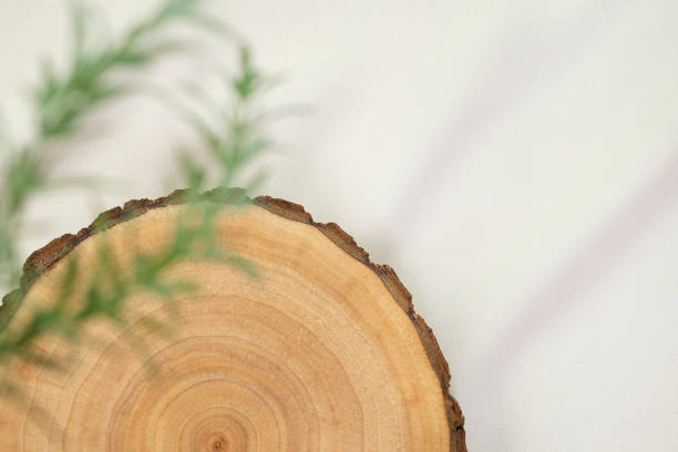 istock a platform for product photography 1430877599