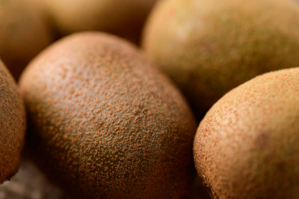 istock Fresh golden kiwi fruit 1430885868
