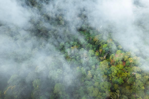 istock fog with mountains and light in the morning 1430886050