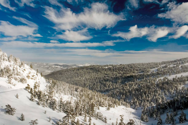 istock Snowy mountains and pine trees 1430893712