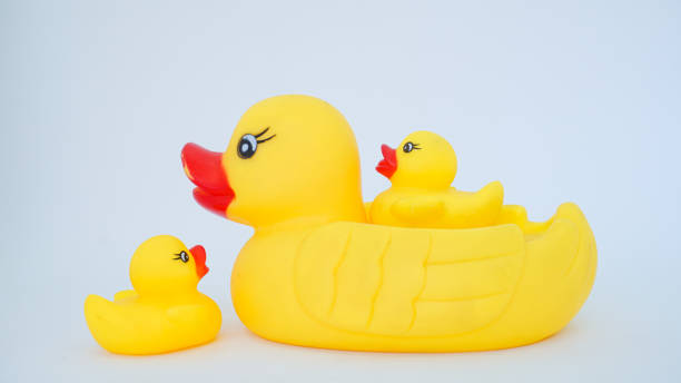 istock Yellow rubber ducks isolated on a white background. 1430895525
