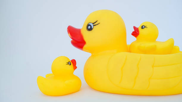 istock Yellow rubber ducks isolated on a white background 1430895537