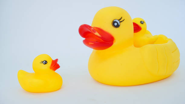 istock Yellow rubber ducks isolated on a white background 1430896062