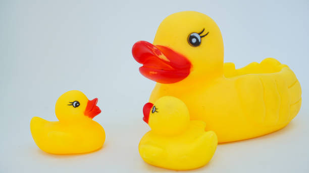 istock Yellow rubber ducks isolated on a white background 1430896064