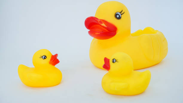 istock Yellow rubber ducks isolated on a white background 1430896085