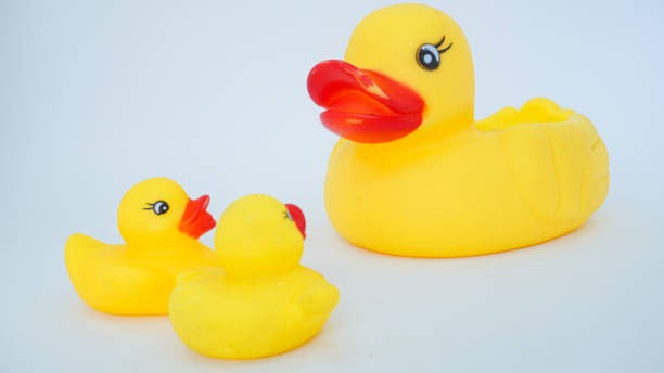 istock Yellow rubber ducks isolated on a white background 1430896093