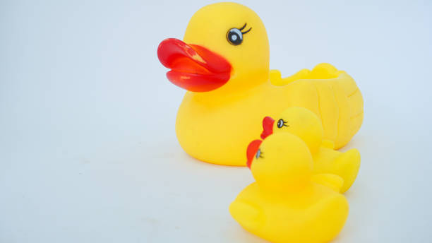 istock Yellow rubber ducks isolated on a white background 1430896110