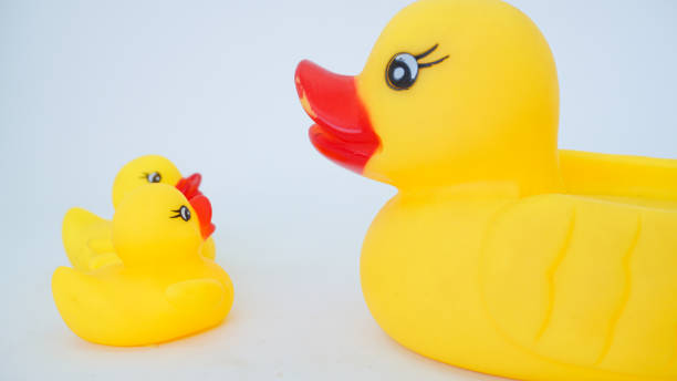 istock Yellow rubber ducks isolated on a white background 1430896141