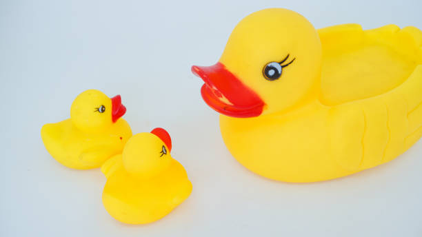 istock Yellow rubber ducks isolated on a white background 1430896180