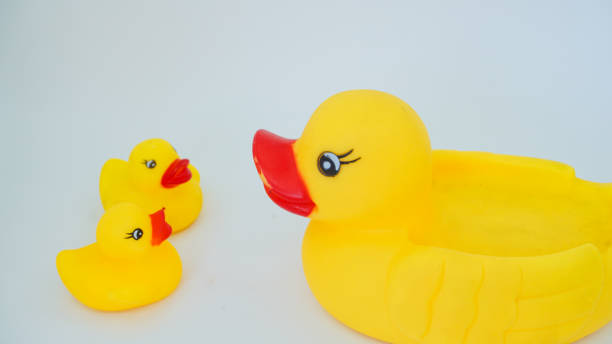 istock Yellow rubber ducks isolated on a white background 1430896184