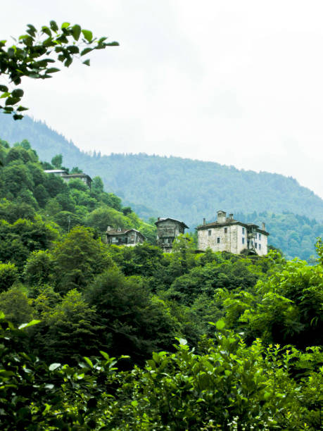 istock Lone country house in idyllic forest 1430896266