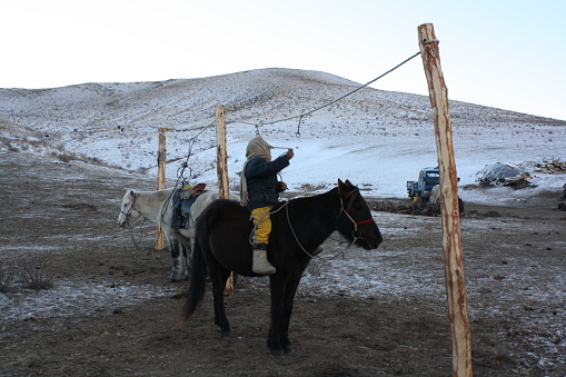 A boy ties the horse in Usnii Khutuul steppe, Bulgan, Mongolia. The children in the Mongolian steppes by nature are indeed nomads. They learn to ride horses at their younger ages of 4-5 years.