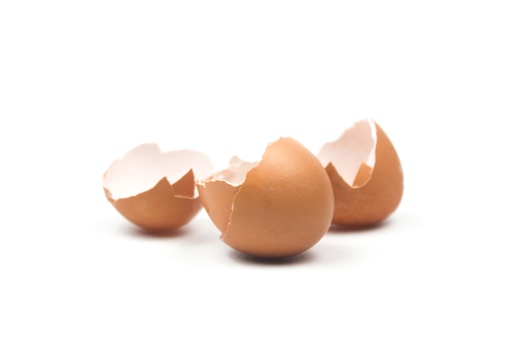 Egg shell isolated on white background