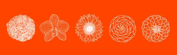 Vector illustration of Set of five flowers line art in top view shot vectors against on orange wallpaper