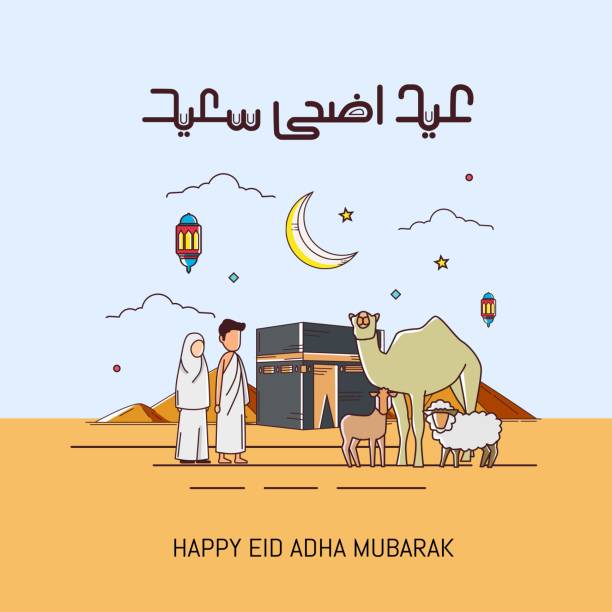 eid al adha z uroczym wektorem kaligrafii. obchody święta muzułmańskiego składają ofiarę wielbłądowi, owcy i kozie. tłumaczenie kaligrafii : happy eid mubarak - eid stock illustrations