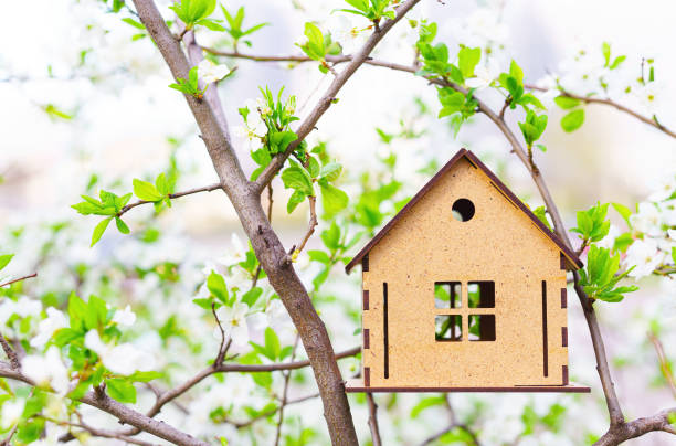 modelo de casa de madera contrachapada en un árbol en flor al aire libre - birdhouse house bird house rental fotografías e imágenes de stock