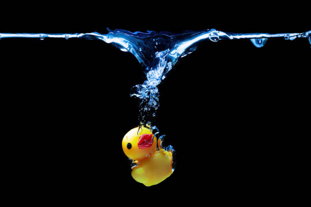 Small yellow toy duck sinking underwater isolated on black background.