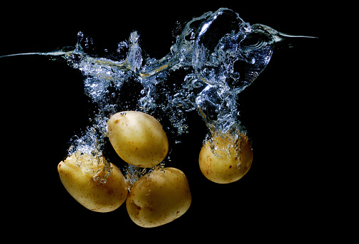 Close-up of a bunch of fresh potatoes splashing in a transparent water tank on black.