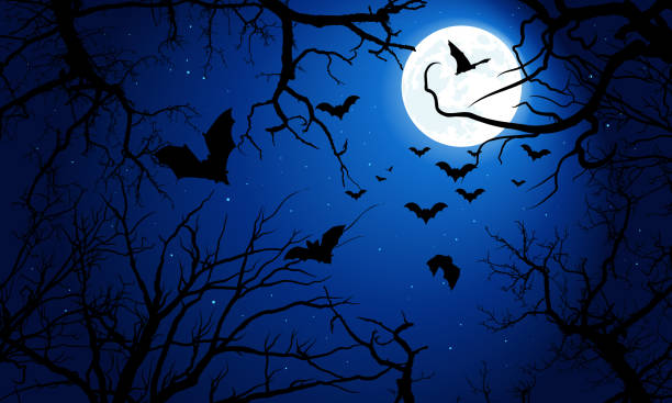 istock Halloween night background, bats on tree, creepy silhouette of crooked branches 1430926902