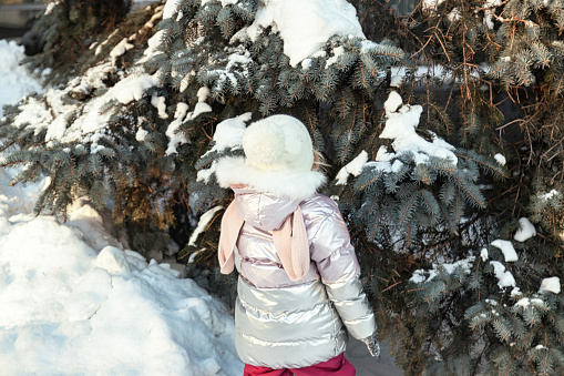 Little girl in snowy public winter park with fir trees or spruce, rear view. Cute child in bright winter clothes walking in city white park. Concept snow wintertime and childhood. Copy text space