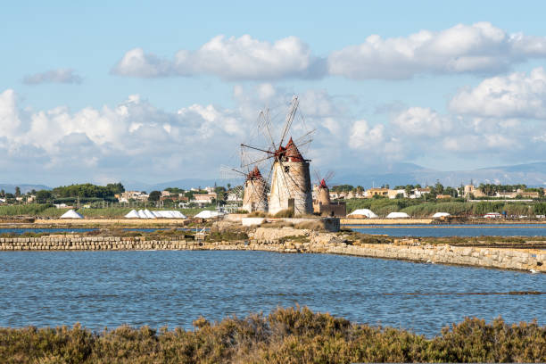 istock Saline in Marsala, Sicily, Italy Salt flats on a sunny day. 1430932979
