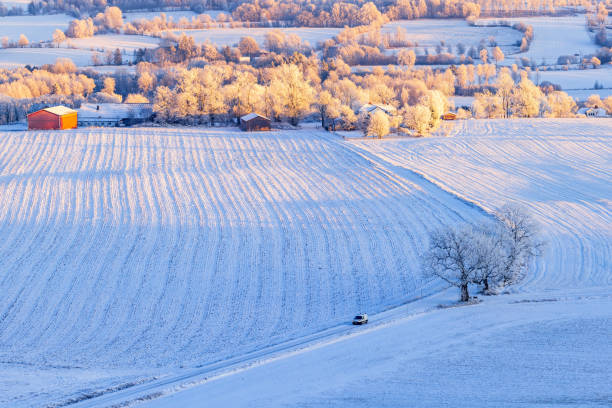 istock Rural landscape with a car driving on a winter road 1430935321