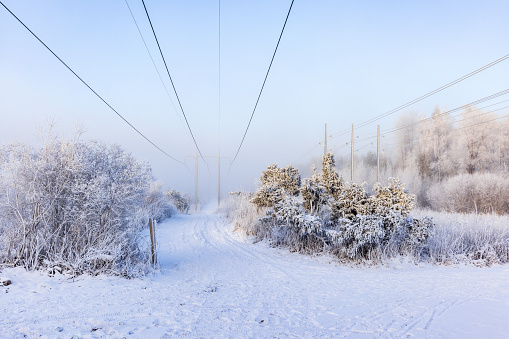 Footpath under a power line in a wintry landscape