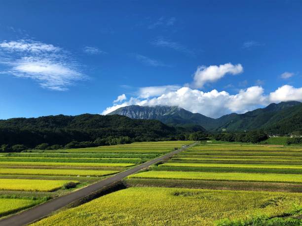 istock Daisen in Tottori 1430943557