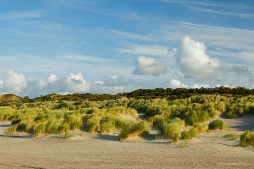 Sand dunes in the North sea region