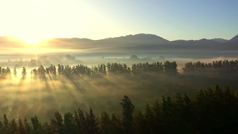 Nature sunrise, mountain trees and aerial view of the forrest and beautiful scenic in the outdoors. Drone and natural sunny landscape background of the wilderness environment for travel and scenery