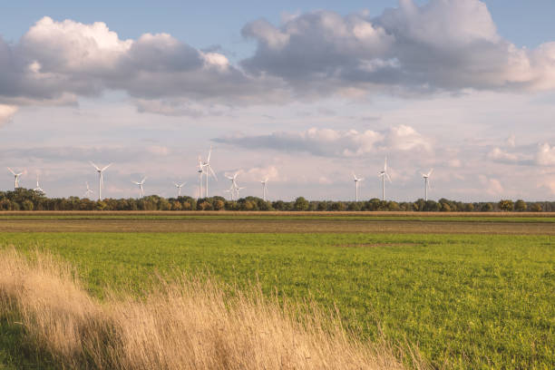 istock Wind turbines in an agricultural field in Germany 1430945740