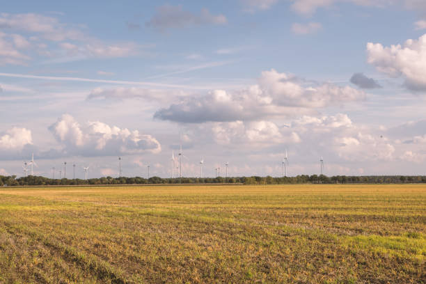 istock Wind turbines in an agricultural field in Germany 1430946143