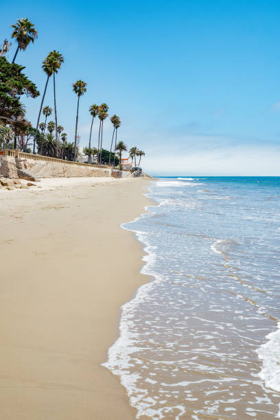 istock Butterfly beach Santa barbara 1430949407