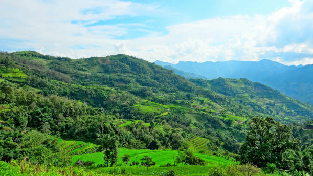 istock Lolo Village Bao Lac, Vietnam 1430949509