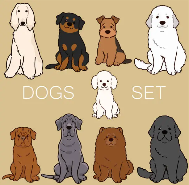 Vector illustration of Set of cute and simple dogs sitting in front view