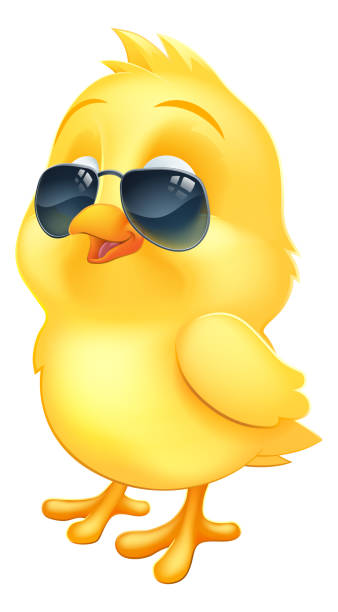 illustrations, cliparts, dessins animés et icônes de cool easter baby chick chicken bird en lunettes de soleil - animal young bird baby chicken chicken