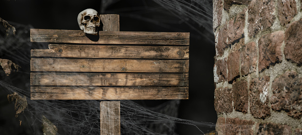 Mystery Halloween holiday party card background - Old blank weathered wooden sign with scary skull and spider webs in the dark night