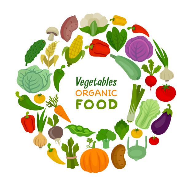 illustrations, cliparts, dessins animés et icônes de composition ronde des légumes. légumes frais. aliments biologiques. - kohlrabi on food ripe