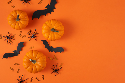 Halloween decorations, pumpkins, bats, ghosts on orange background with copy space