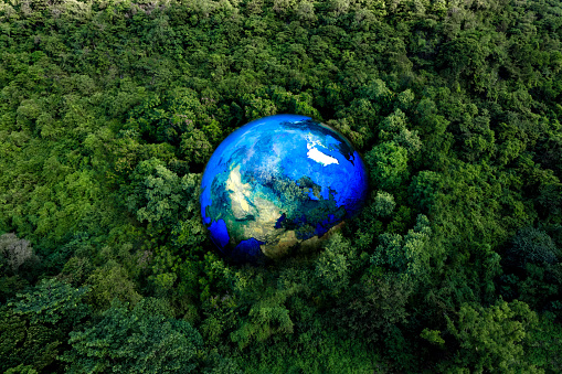aerial view of the green forest with the earth Demonstrate the concept of preserving the top ecosystem and natural environment and Save Earth.