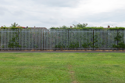 Field and footpath near a residential area in the North East of England.