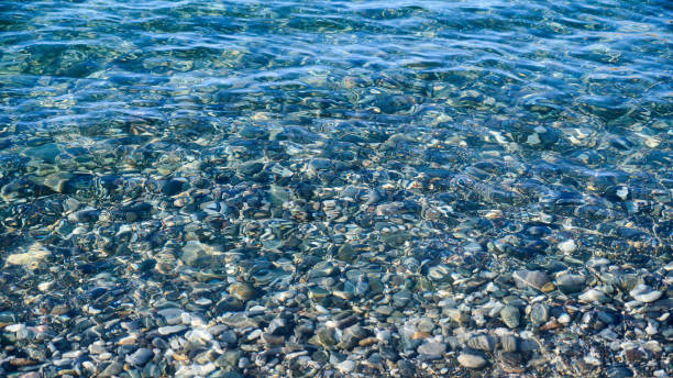 istock Background of clear blue water and pebbles under water, panoramic view 1430963093