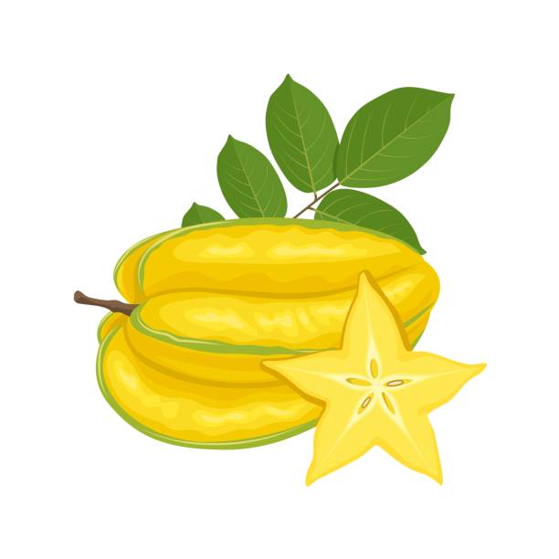 Carambola Vector illustration, ripe starfruit or carambola, whole and sliced, with green leaves, isolated on white background. starfruit stock illustrations