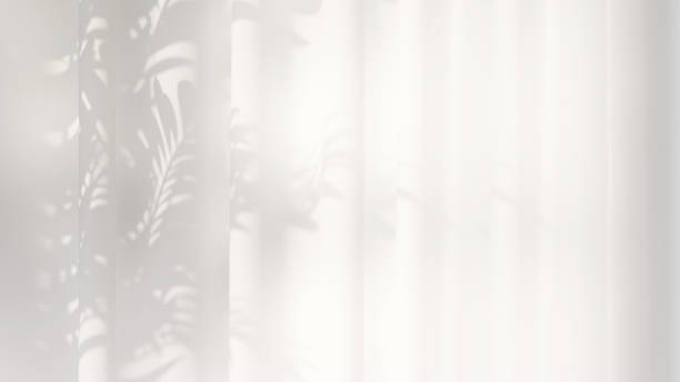 Beautiful soft dappled light and plant leaf shadow on white curtain background