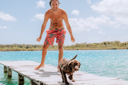 Man having fun with pet sharing dog human moments
Young man playing with dog in a tropical environment