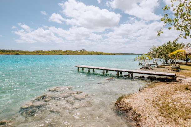 istock Wooden pier on lake at daytime 1430975288