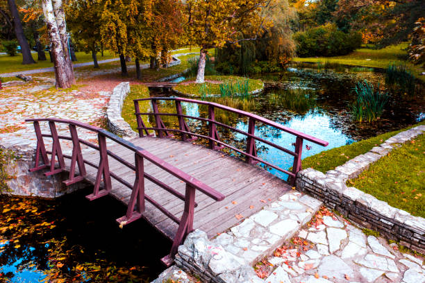 wooden bridge on the pond at the city park. - frog water lily pond sunlight imagens e fotografias de stock