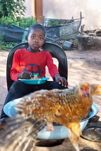 African child eating in the yard, chicken running around
