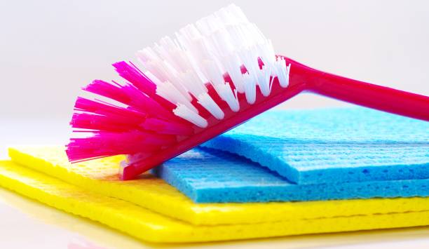 dishwashing brush and sponges - 洗碗刷 個照片及圖片檔